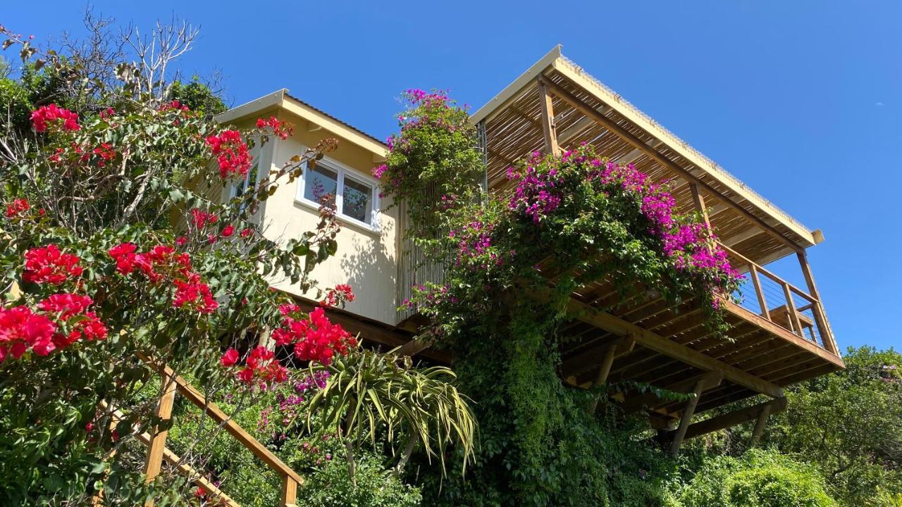 Justfor2 Villa Wilderness Ngoại thất bức ảnh
